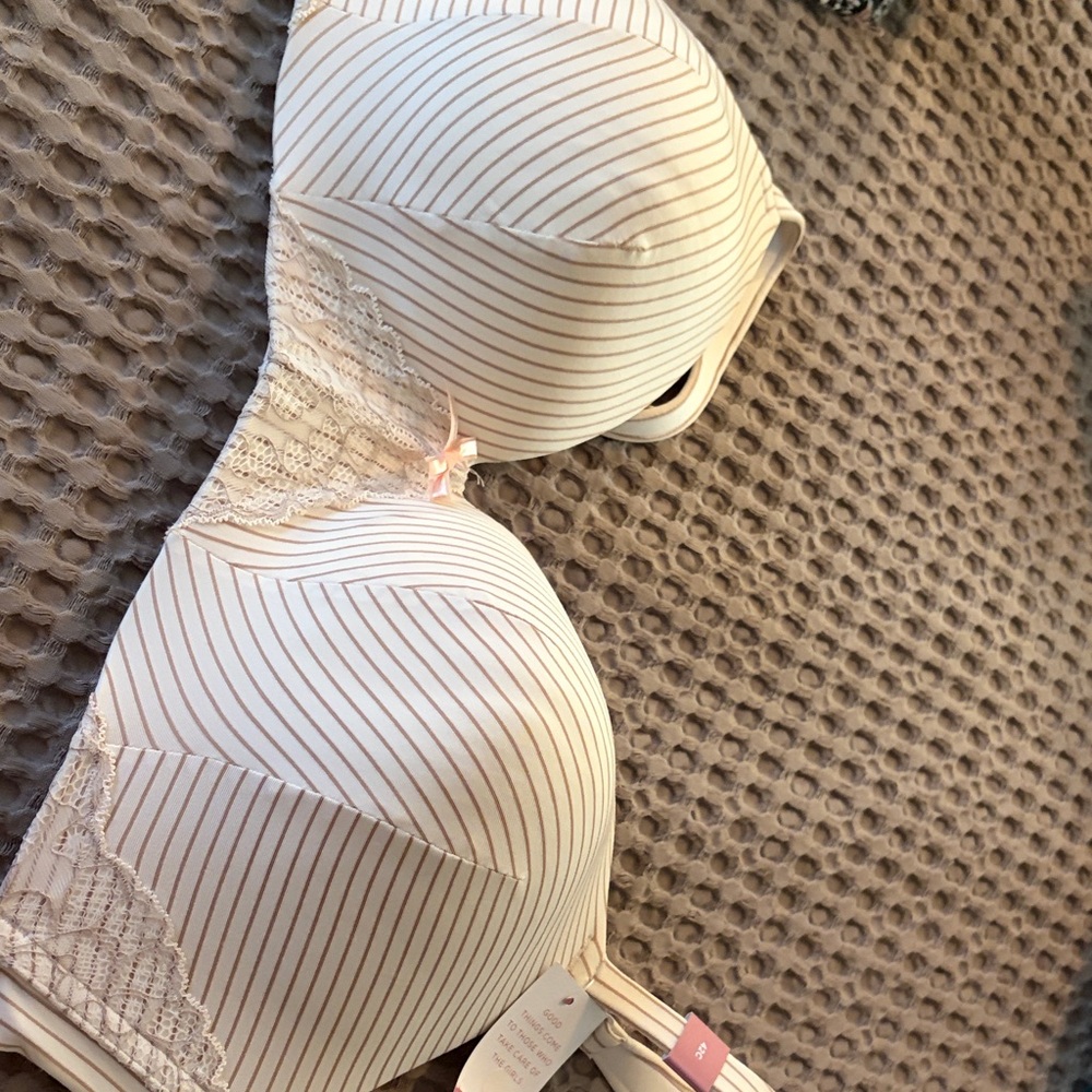 Elegant Cream and Tan Striped Bra